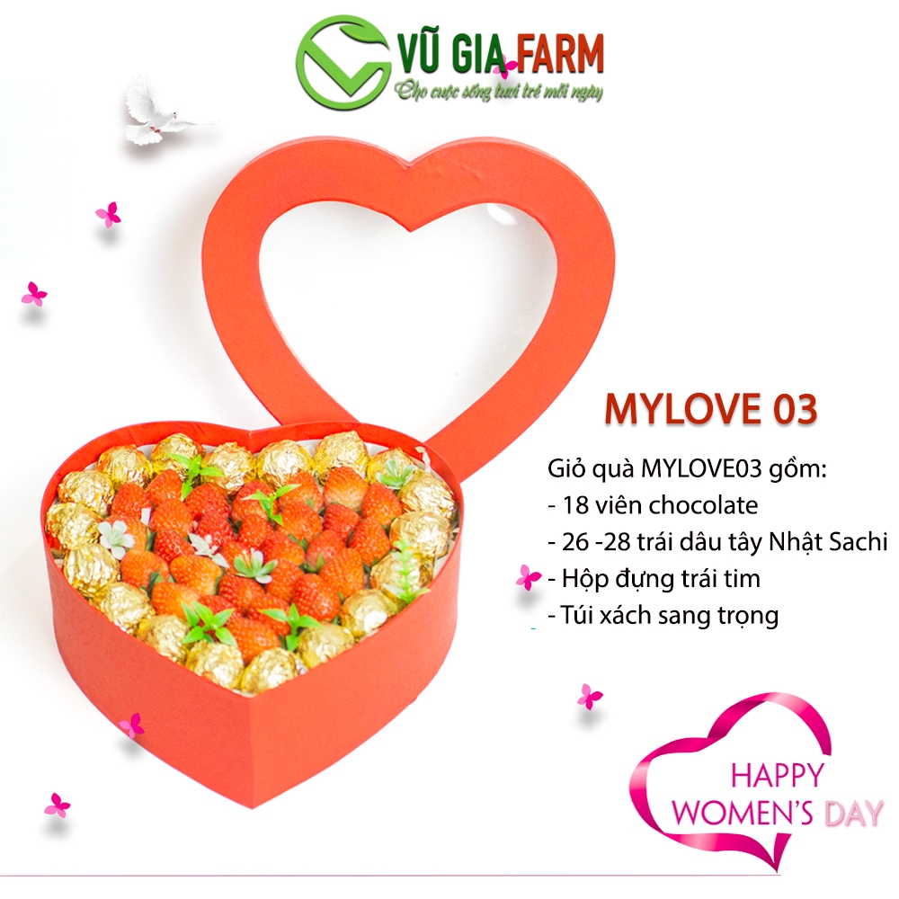 MYLOVE 03 Giỏ Quà Dâu Tây Đà Lạt Mix Chocolate