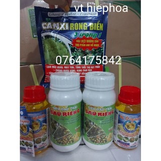 Bộ 3 đậu trái sầu riêng