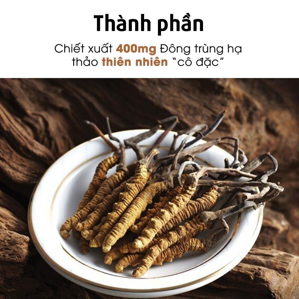 Viên uống Đông trùng hạ thảo ALLTIMES CARE CORDYCEPS giúp bồi bổ tăng cường sức khỏe - lỗi vỏ hộp, date T4/2025