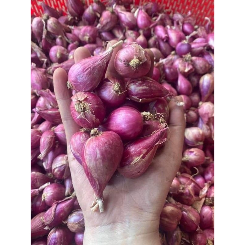 HÀNH TÍM NHÀ TRỒNG 1KG