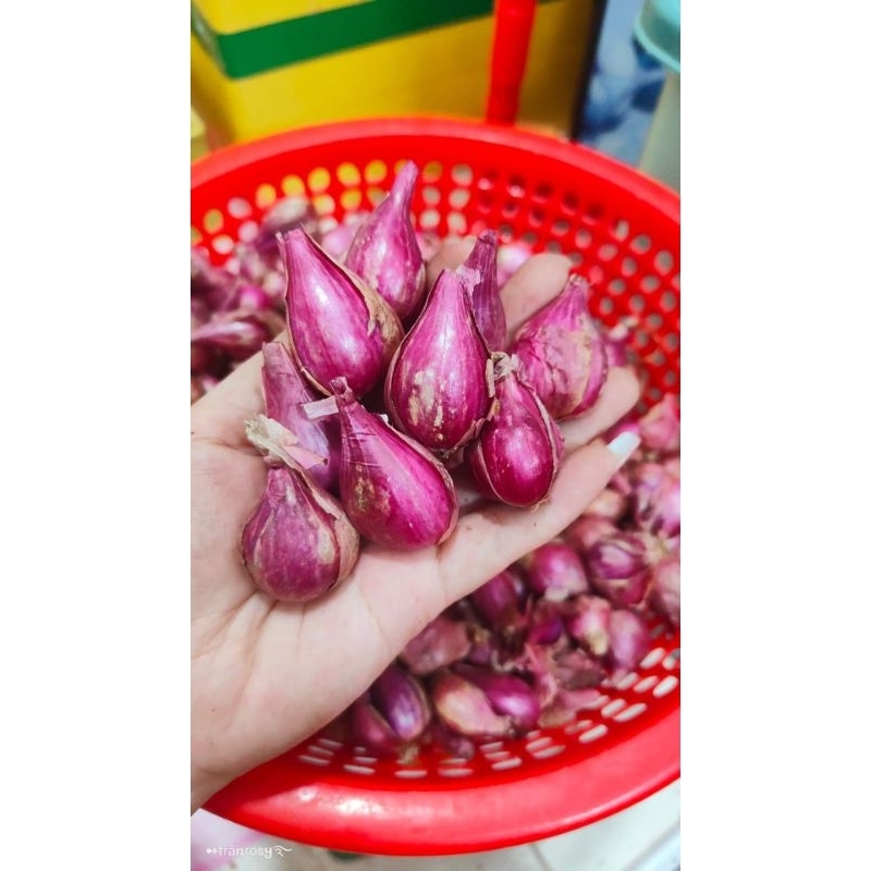 HÀNH TÍM NHÀ TRỒNG 500GR