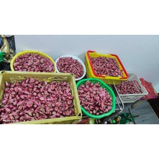 HÀNH TÍM NHÀ TRỒNG 500GR