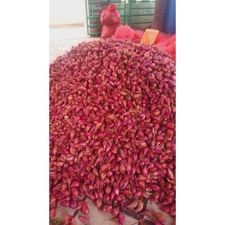 HÀNH TÍM NHÀ TRỒNG 1KG