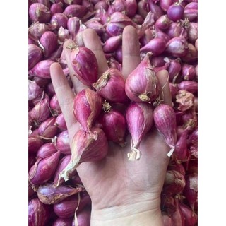 HÀNH TÍM NHÀ TRỒNG 1KG