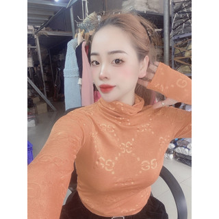 Áo Thun nữ dài tay Ulzzang Cổ Lọ Xinh xắn nhiều màu - Áo nhún cổ lọ