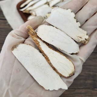 Bạch chỉ thái phiến