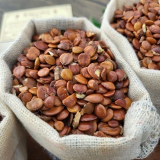 Toan táo nhân Bắc chính phẩm loại 1
