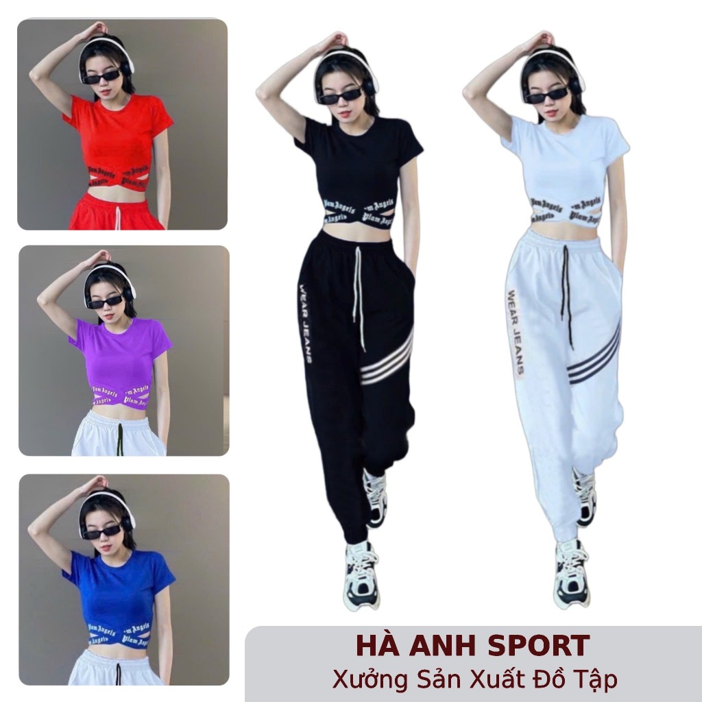 Bộ Gym nữ cao cấp - bộ tập Aerobic nữ, bộ yoga nữ, chất vải dày dặn,thấm hút mồ hôi tốt, co giãn 4 chiều(B01)