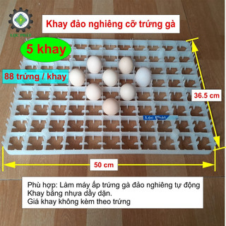5 Khay ấp trứng gà, khay đảo trứng nghiêng, giá rẻ nhựa tốt CB5K-GATR
