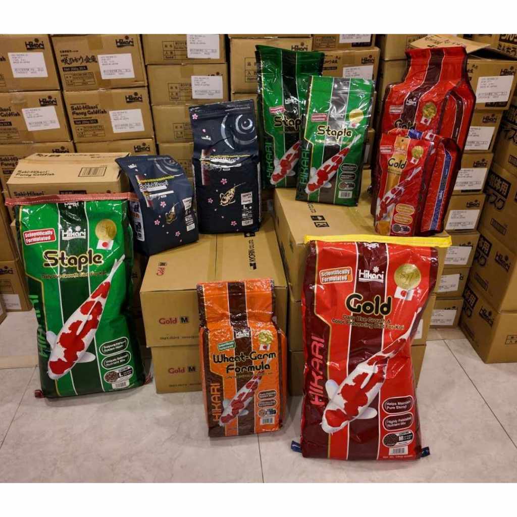 CÁM HIKARI WHEAT GERM 15KG | CÁM HIKARI HÀNG CHÍNH HÃNG| KYANHKOIFARM| CÁM HIKARI WHEAT GERM