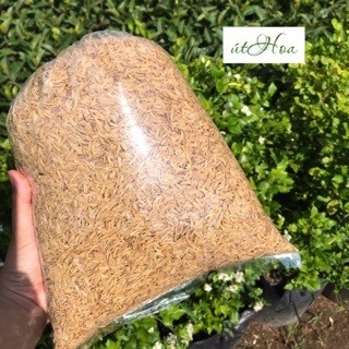 Giá thể trồng cây tro, trấu, xơ dừa