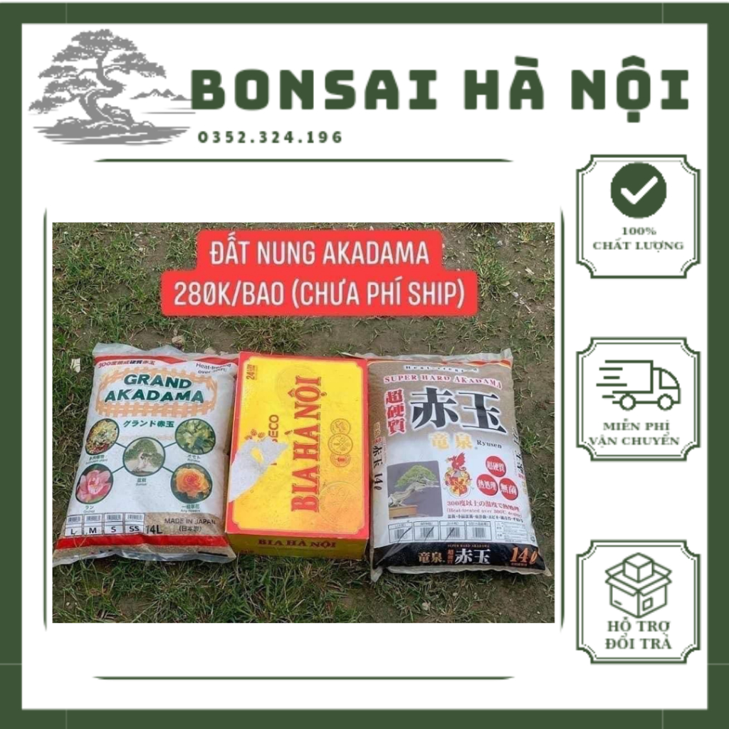 Đất nung Akadama Nhật Bản trồng sen đá, xương rồng, bonsai