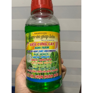 Siêu cứng cây chai 500ml lùn cây hoạt chất uniconazale ra rễ nở bụi to…vv