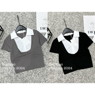 Áo thun cộc tay cổ pha sơ mi