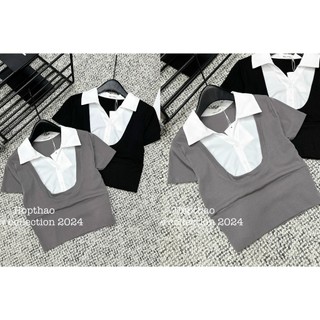 Áo thun cộc tay cổ pha sơ mi
