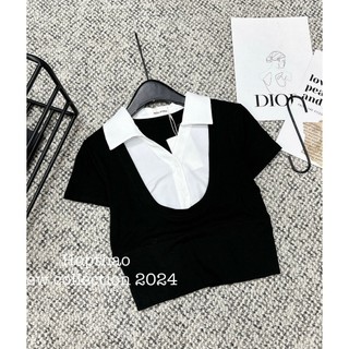 Áo thun cộc tay cổ pha sơ mi