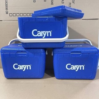 THÙNG ĐÁ CARYN 6.8 LÍT (Sales 90k/ cái)