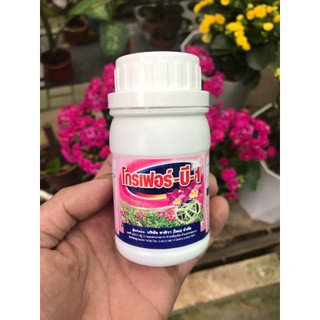 Phân Bón B1 nhập khẩu Thái Lan, chai 100ml.