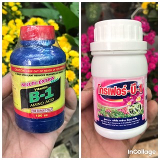 Phân bón b1 nhập khẩu thái lan, chai 100ml.