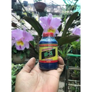 Phân Bón B1 nhập khẩu Thái Lan, chai 100ml.