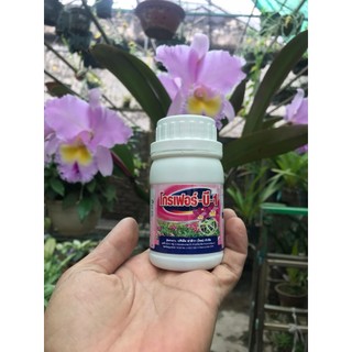 Phân Bón B1 nhập khẩu Thái Lan, chai 100ml.