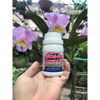 Phân Bón B1 nhập khẩu Thái Lan, chai 100ml.