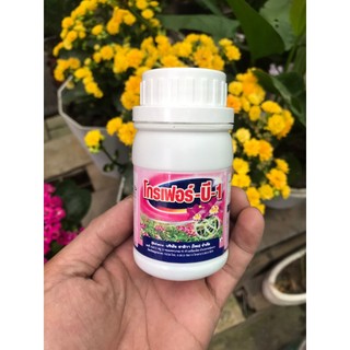 Phân Bón B1 Thái Lan 100ml