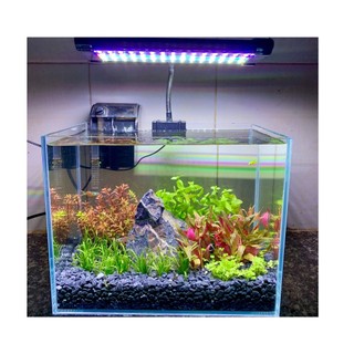HỒ CÁ THỦY SINH FULL COMBO ĐẦY ĐỦ PHỤ KIỆN KÍCH THƯỚC 40x30x30CM S3 NANO RS 5000.