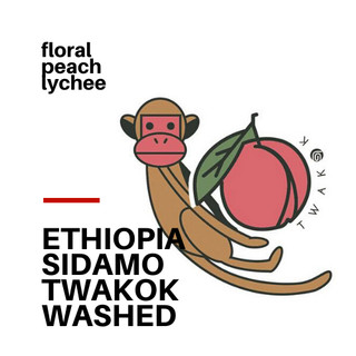 Cà phê T22 Ethiọpia Twakok natural