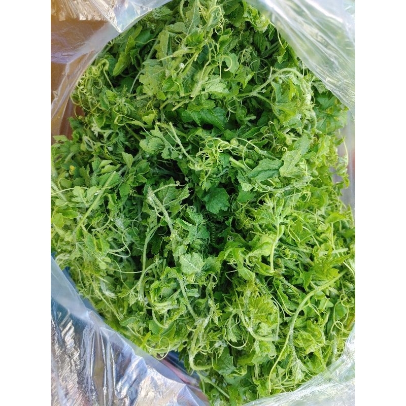đọt khổ qua 350g