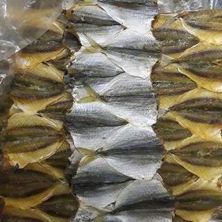Cá chỉ vàng loại đặc biệt, thơm ngon ngọt dày thịt