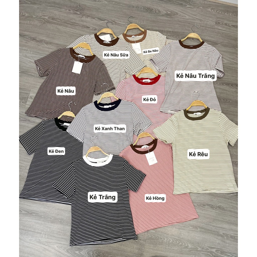 Áo Phông Nữ Kẻ Sọc Ngang Nhỏ Cổ Tròn Dáng Basic Min House