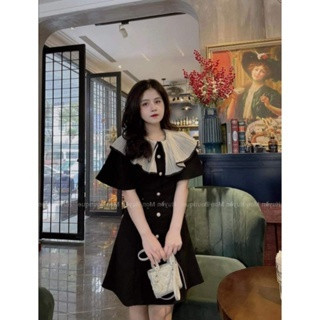 Váy đầm khuy cổ bèo dập ly tiểu thư