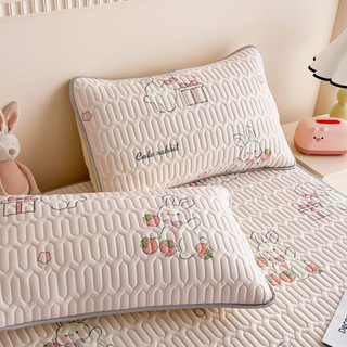 Chiếu Latex loại 1 m8*2m