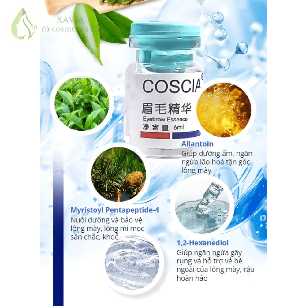 Huyết thanh mọc lông mày, râu tóc siêu tốc ANRAN, Giúp mọc nhanh, Ngăn ngừa rụng, Thu hút mọi ánh nhìn - XAVIA COSMETICS