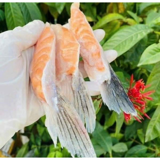 1kg Vây Cá Hồi Nauy (hoả tốc Tphcm)