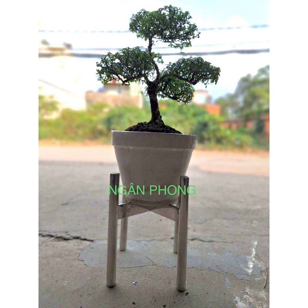 ( HỎA TỐC HCM ) CHÂN ĐỰNG CHẬU HOA INOX 304