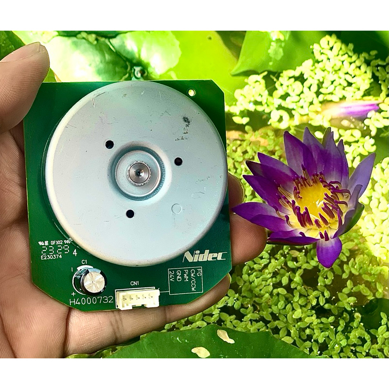 BLDC Motor