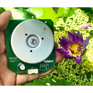 Bldc motor