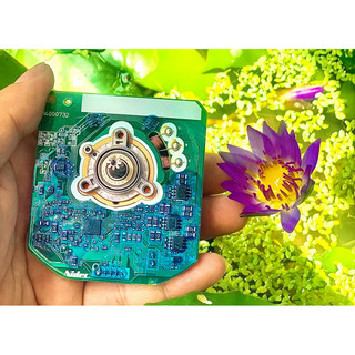 BLDC Motor