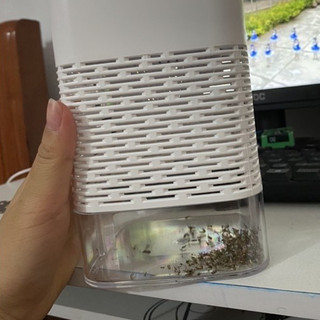 Đèn Bắt Muỗi Diệt Côn Trùng Thông Minh Có Đèn LED