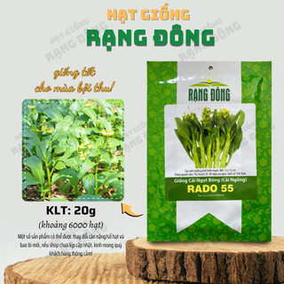 Hạt giống Cải Ngọt Bông Rado 55 (20g~6000 hạt) Cải Ngồng nảy mầm tốt, chịu nhiệt, trồng quanh năm - Hạt giống Rạng Đông