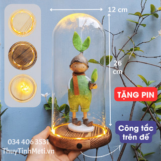 Chụp thủy tinh đế gỗ đèn LED 12x26, công tắc trên đế, tặng pin