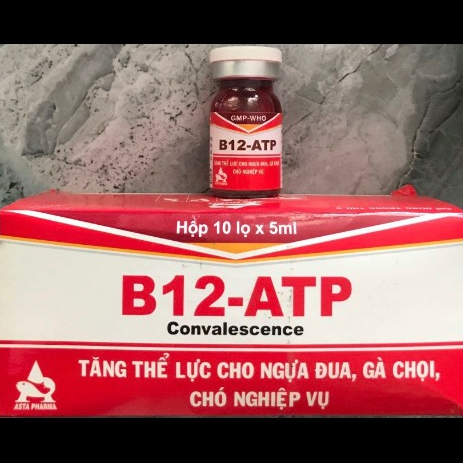 B12-ATP lọ 5ml tăng lực cho ngựa, gà, chó,..