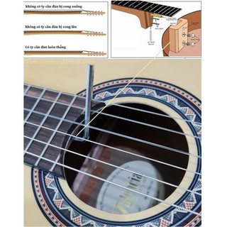 Đàn Guitar Classic Valencia VC264T