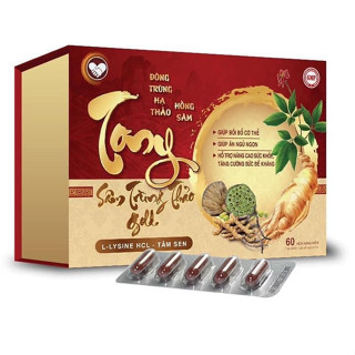  TONY Sâm Trùng Thảo Gold  hộp 60 viên  Giúp ăn ngon ngủ ngon nâng cao sức đề kháng 