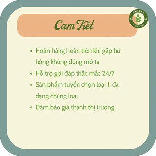 Sâm dây Ngọc Linh khô - Hàng lớn
