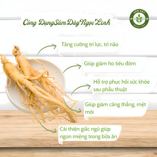 Sâm dây Ngọc Linh khô - Hàng trung
