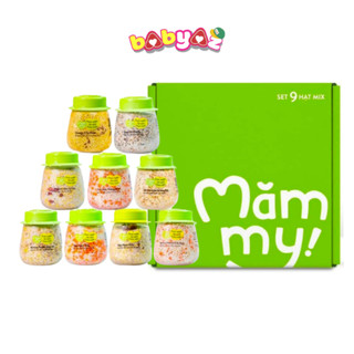 Combo 9 Hủ Mix Hạt Dinh Dưỡng Hữu Cơ Mămmy Nấu Cháo Cho Bé Ăn Dặm Từ 6 Tháng