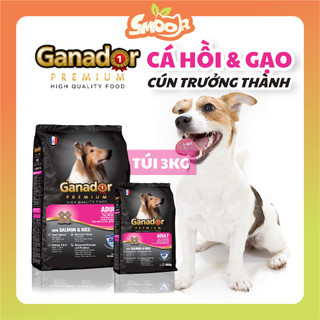 Thức ăn hạt cho chó trưởng thành Ganador vị cá hồi và gạo - Ganador Premium Adult Salmon And Rice